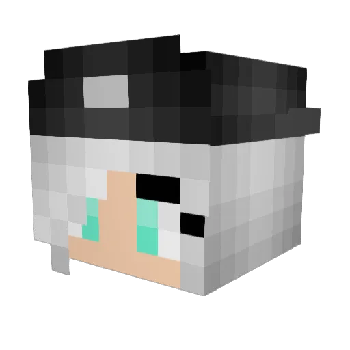 CreepingItReal13 Minecraft avatar head, 3D render