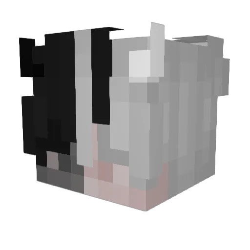 Creepy_2005 Minecraft avatar head, 3D render