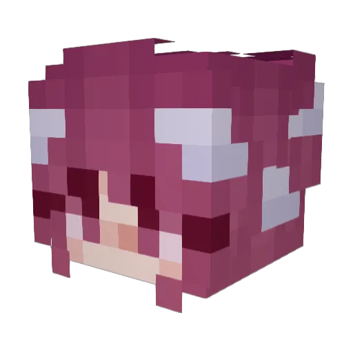 Crem1 Minecraft avatar head, 3D render