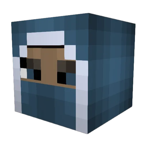 Crepperhunter55 Minecraft avatar head, 3D render