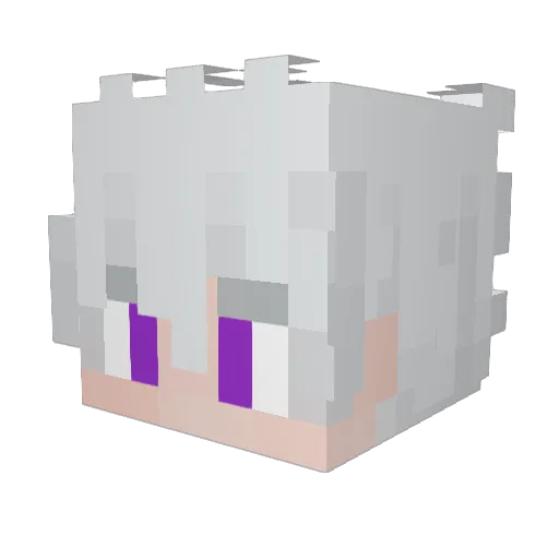 Crept0 Minecraft avatar head, 3D render