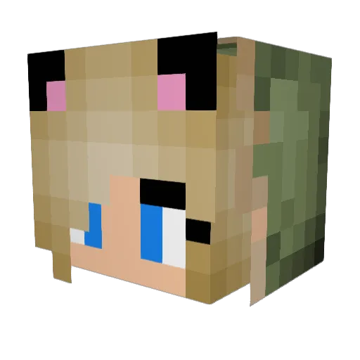 Crescenda7 Minecraft avatar head, 3D render