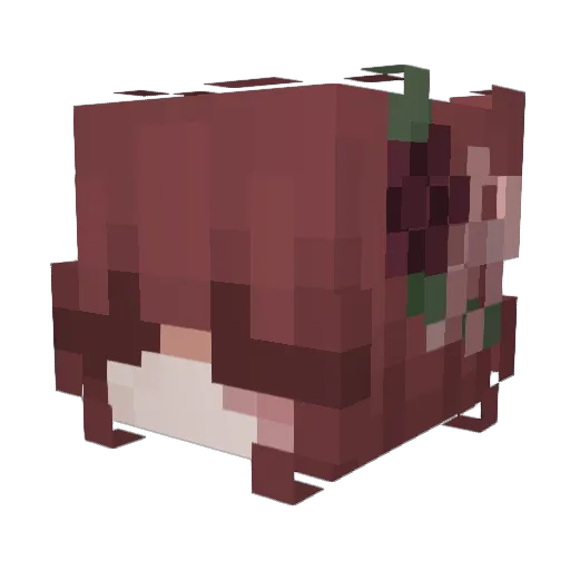 Crescendum Minecraft avatar head, 3D render