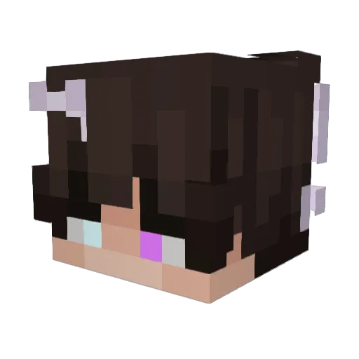 Cresdity Minecraft avatar head, 3D render