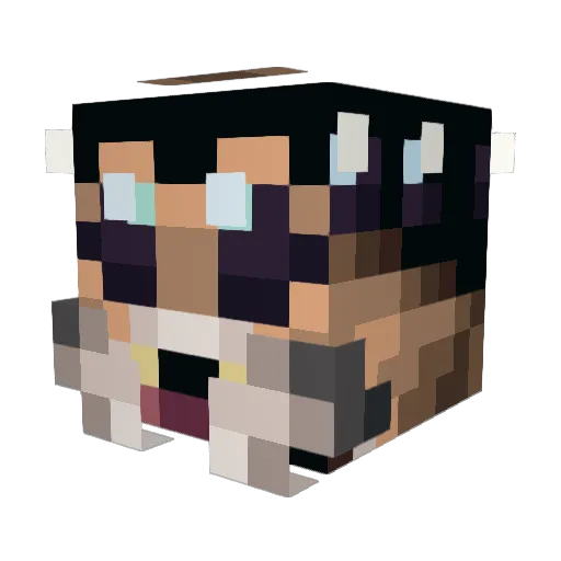 CrestedCorvid Minecraft avatar head, 3D render