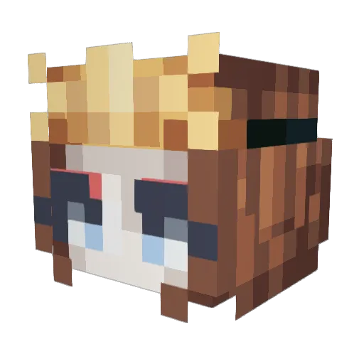 Crevette3 Minecraft avatar head, 3D render