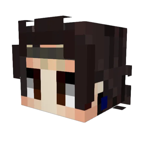 Minecraft-Avatar von Crewool: Kopf als 3D-Render
