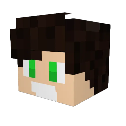 CriCrii1 Minecraft avatar head, 3D render