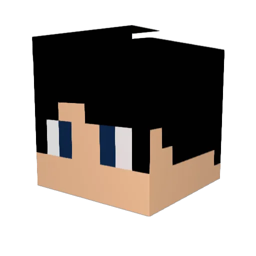 CriTicKalzZ Minecraft avatar head, 3D render