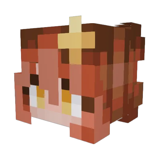 Cricket172543 Minecraft avatar head, 3D render