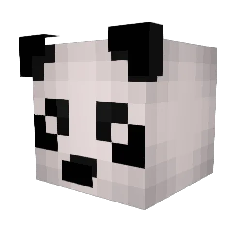 Cricket453 Minecraft avatar head, 3D render