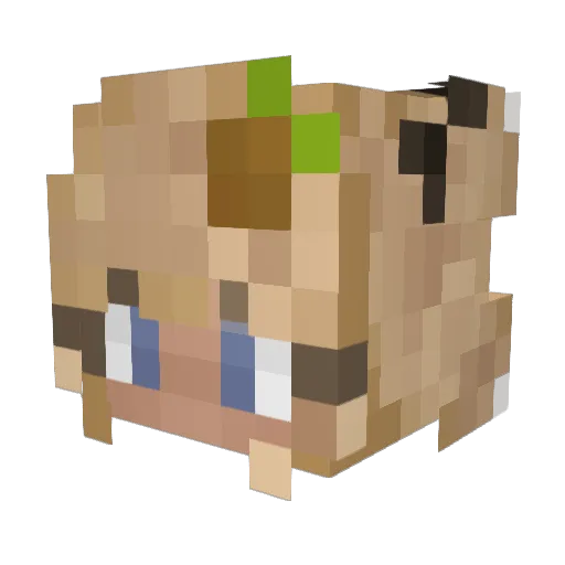 Cricket85 Minecraft avatar head, 3D render