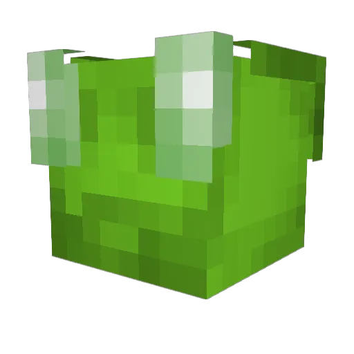 CricketOG Minecraft avatar head, 3D render