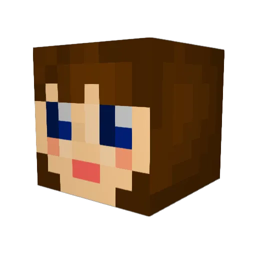 CricketyBug Minecraft avatar head, 3D render