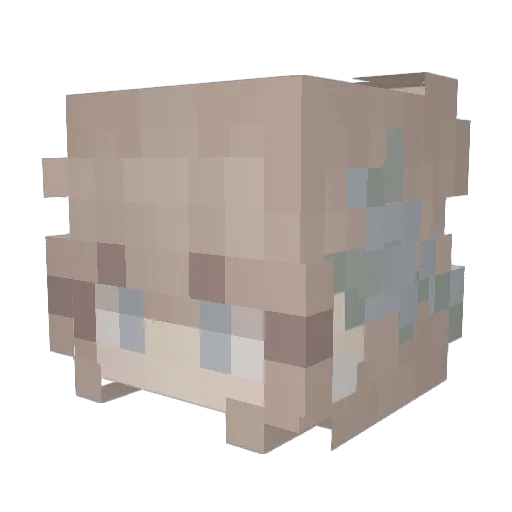 Crickig6 Minecraft avatar head, 3D render