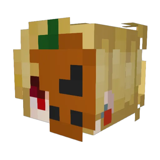 Criekk1 Minecraft avatar head, 3D render
