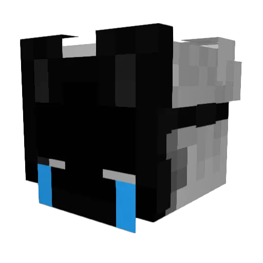 Cries_Child Minecraft avatar head, 3D render