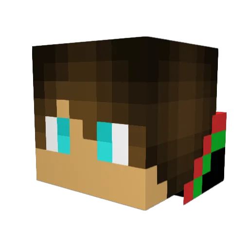 Crigan787 Minecraft avatar head, 3D render