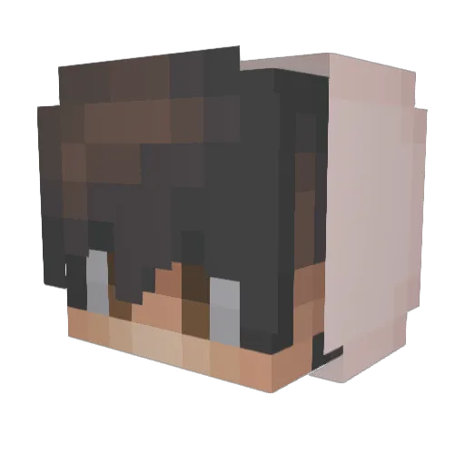 Criggles_42 Minecraft avatar head, 3D render