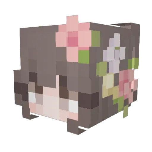 Criiis25 Minecraft avatar head, 3D render