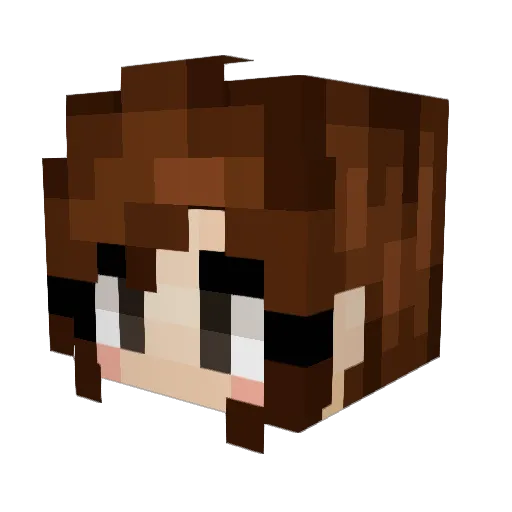 Crikstar Minecraft avatar head, 3D render