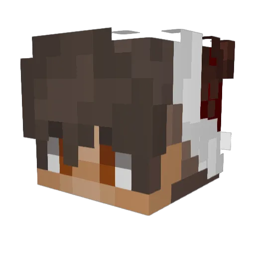 CrimShotii Minecraft avatar head, 3D render