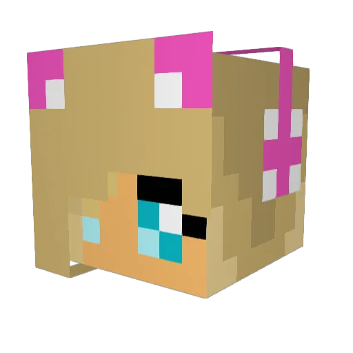 Crime4EverLP Minecraft avatar head, 3D render