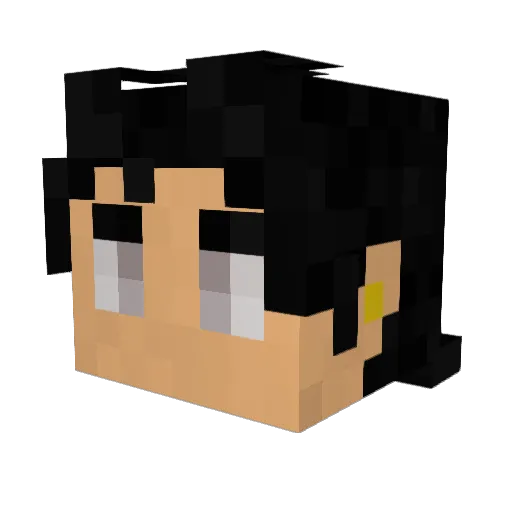 Crimes4Dimes Minecraft avatar head, 3D render