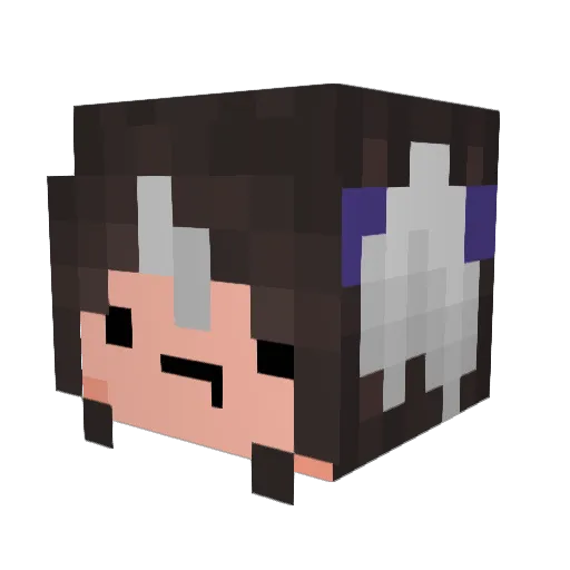 Crimson4x6 Minecraft avatar head, 3D render
