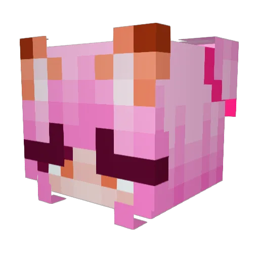 Crimson549 Minecraft avatar head, 3D render