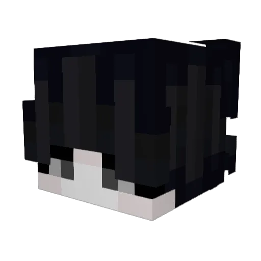 CrimsonCalis Minecraft avatar head, 3D render