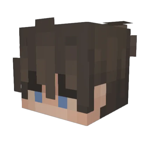 CrimsonChin6903 Minecraft avatar head, 3D render