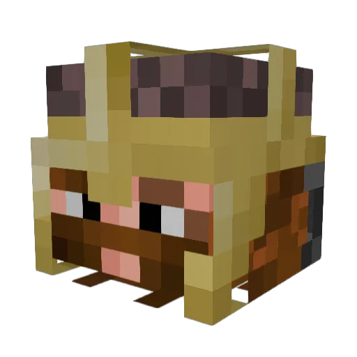 CrimsonFlarePhoe Minecraft avatar head, 3D render