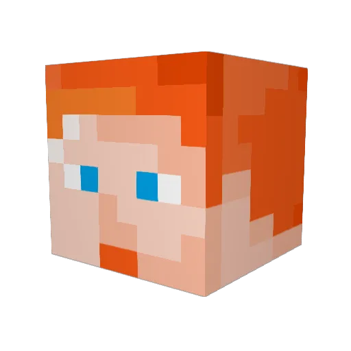 CrimsonTurtle8 Minecraft avatar head, 3D render