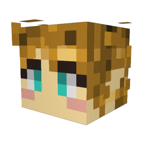 Crimsonbs Minecraft avatar head, 3D render