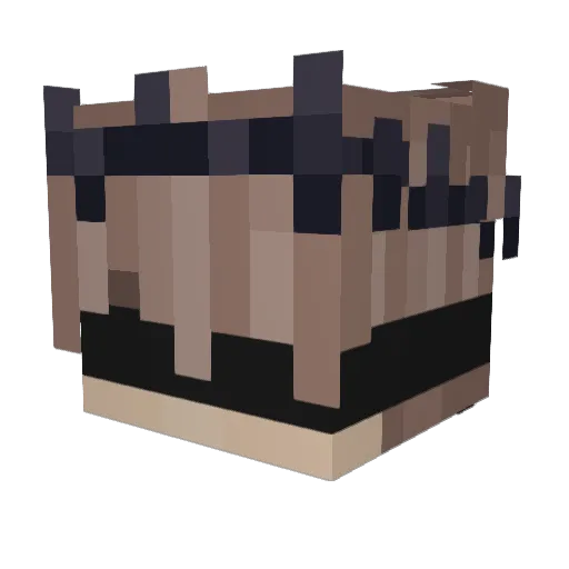 CrimsonnMoon Minecraft avatar head, 3D render