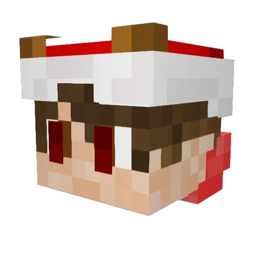 Crimsonninja977 Minecraft avatar head, 3D render