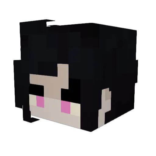 Crimzon5 Minecraft avatar head, 3D render