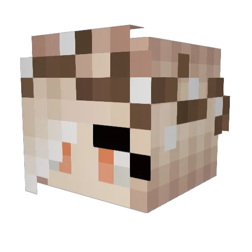 Cringe_Is_Me Minecraft avatar head, 3D render