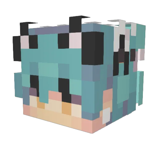 Cringey6998 Minecraft avatar head, 3D render