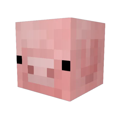 CrippleGimp Minecraft avatar head, 3D render