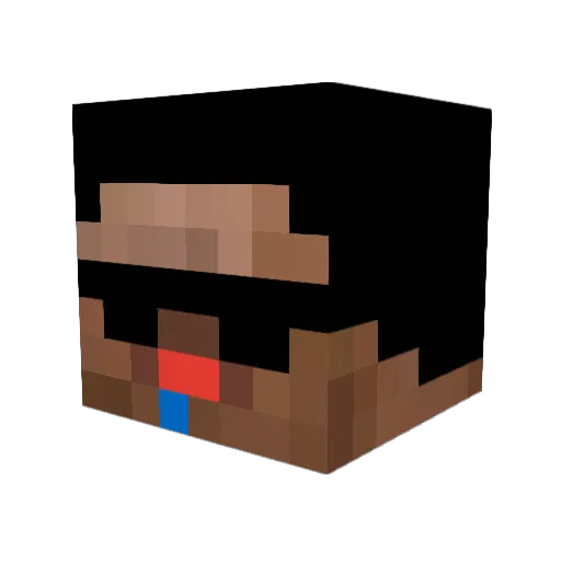 CrippledCats69 Minecraft avatar head, 3D render