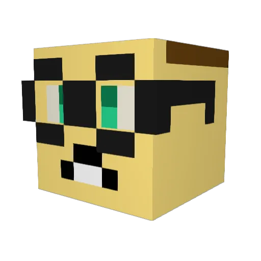 CrippledDon Minecraft avatar head, 3D render