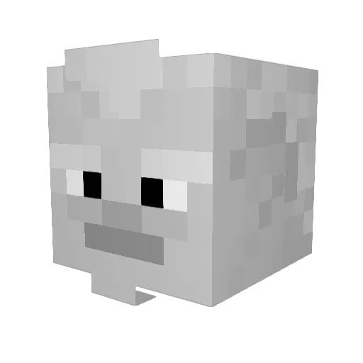 Criptor Minecraft avatar head, 3D render