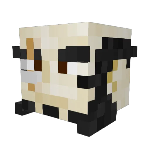 CrisBy16 Minecraft avatar head, 3D render