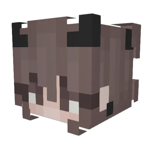 Crisjetl Minecraft avatar head, 3D render