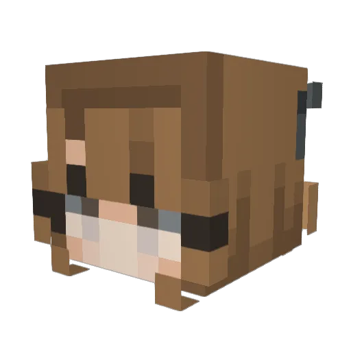 Crismoly Minecraft avatar head, 3D render