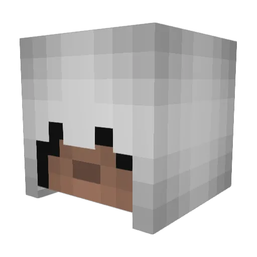 Crisnv22 Minecraft avatar head, 3D render