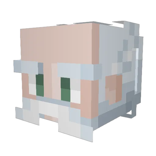 CrispyGrandpa0 Minecraft avatar head, 3D render