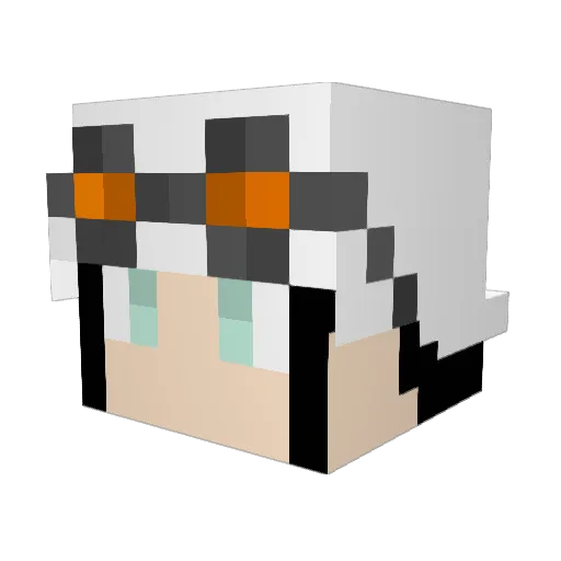 CrispyRashed Minecraft avatar head, 3D render